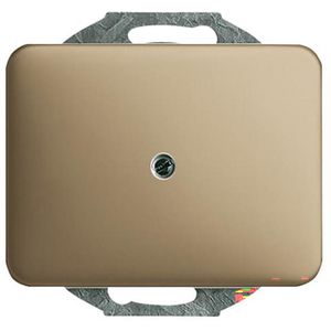 Centraalplaat inb draag zwakstr boring 10mm a-brons (1749-21)