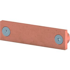 Railkoper N/PE 40x10mm 2CPX044291R9999