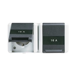 Wandcontactdoos WG800 2-voudig m.R/A tekstvast&onderk.