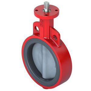 Butterfly Valve 150 mm 2-Way Flanged Lug ASTM 1591 kvs