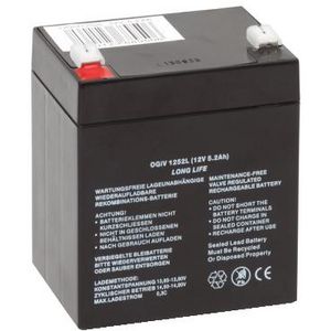 Exiway Power Control Batterij (lood) 12V17AH HL