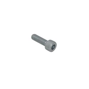 BIS Binnenzeskantbout ev M8x16mm VVE=200