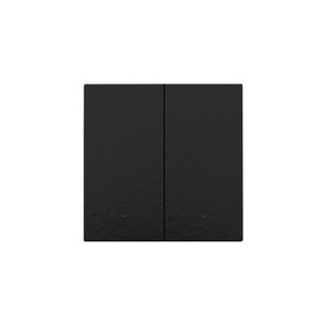 Afwerkingsset lens dubbele elektr. schakelaar/knop pianoblac