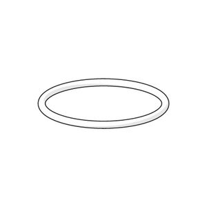 O-ring 59904764