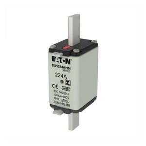 Zekering laagsp. 224A AC 500V NH1 gL/gG dubbele meld VVE=3