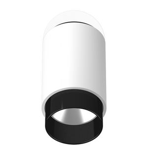 Ledspot P&L alpin wit/zwart dimbaa