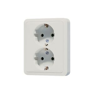 Wandcontactdoos li.gr.2-v m.R/A&ki.beveil. CD500