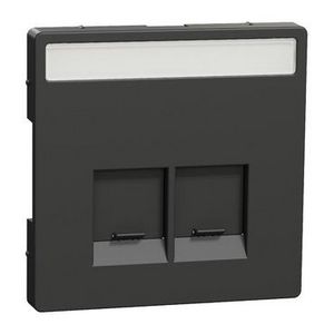Centraalplaat RJ45 Actassi 2-voudig Venster Antrac Systeem D
