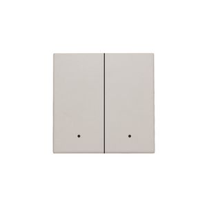 Afwerkingsset lens dubbele elektr. schakelaar/knop l.grey