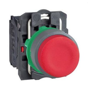 PUSHBUTTON