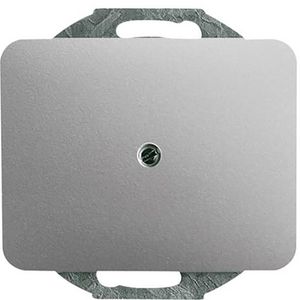 Centraalplaat inb draag zwakstr boring 10mm a-titanium (1749-266)