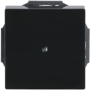 Centraalplaat inb draag zwakstr boring 10mm f-antraciet (1749-81)