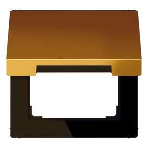 Klapdeksel LS-goud 24 karaat