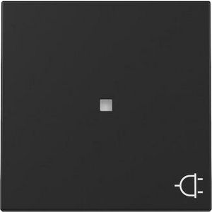 Wip ctrl.v. + sym.wandcontactdoos System 55 zwart m