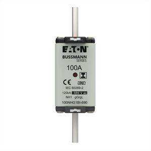 Zekering laagsp. 100A AC 690V NH1 gL/gG dubbele meld VVE=3