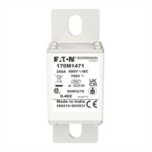 Zekering hoge snelheid 250A AC 690V 200kA 000 24x36x VVE=5