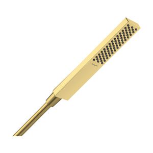 Staafhanddouche Pulsify E 100 1 straalsoort EcoSmart Polished Gold-Optic