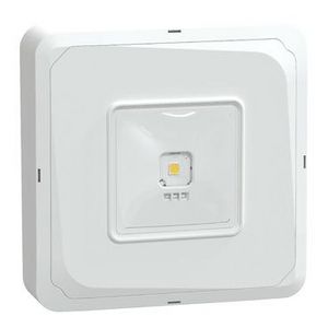 Exiway Smartbeam Dicube Adresseerbaar noodverlichtingsarmatu