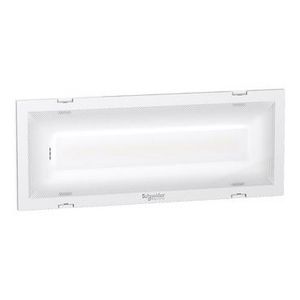 Activa IP42 250lm multi Exiway Trend