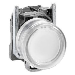 Drukknop Verlicht Ø22mm 24V ATEX Wit Harmony XB4