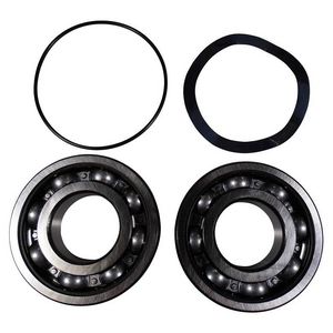 Onderdelen Kit, Kogellager set 6306.SYN/6204.SYN