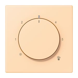 Thermostaatafdekking slagvast LC32060