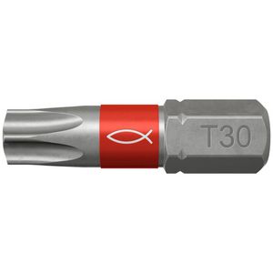 Set a 10st. Profi schroefbits FTB torx TX30