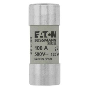 Zekering laagspanning 100A AC 500V 22x58 gL/gG met s VVE=10