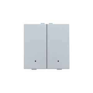 2-voudige drukknop leds/comf.sens. HomeControl sterling