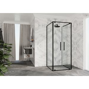 RIGA-2B draaideur 2-del. 660-690x2000mm helder glas brushed black chrome