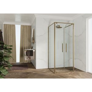 RIGA-2B draaideur 2-del. 660-690x2000mm helder glas brushed bronze
