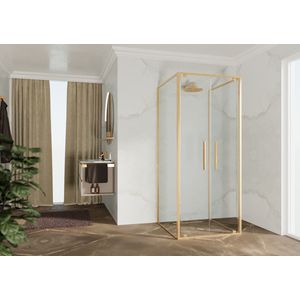 RIGA-2B draaideur 2-del. 660-690x2000mm helder glas brushed gold