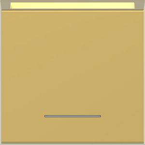 Centraalplaat hotelkaartschakelaar, heldere lens, A.x/C.x, gold, met.