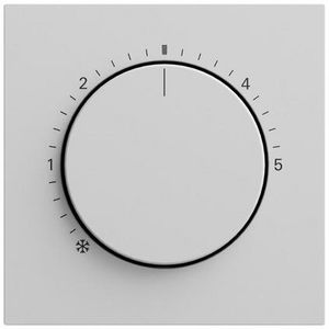 Afdekking ruimtetemperatuurregelaar ctrl.l. System 70 gris m(gel.)