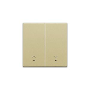 Afwerkingsset lens dubbele elektr. rolluiksch. gold