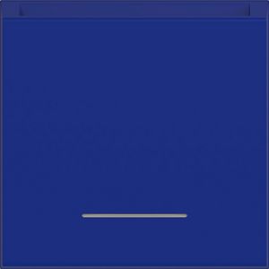 Centraalplaat hotelkaartschakelaar, heldere lens, A.x/C.x, cobalt, mat