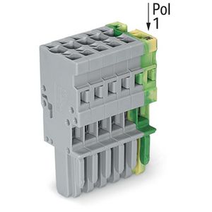 1-draads female steker CAGE CLAMP 4mm² groen-geel/gr VVE=25