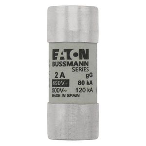 Zekering laagspanning 2A AC 690V 22x58mm gL/gG IEC VVE=10