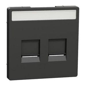 Centraalplaat RJ45 2-voudig Venster Antraciet Systeem D
