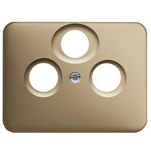 Centraalplaat satelliet a-brons