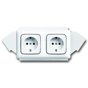 Wandcontactdoos 2v + doos uni + gst R alpin (20-2 EUWCJ-214K-503)