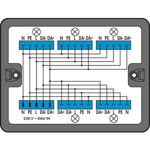 Verdeeldoos DALI 1 ingang 899-631/313-000