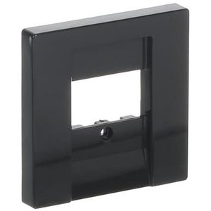 Centraalplaat luidsprekercontactdoos/TAE/USB f-antraciet (1766-81)