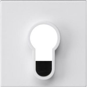 Afdekking sleutelschakelaar /-drukcontact z/opdr. System 55 zuiver wit m