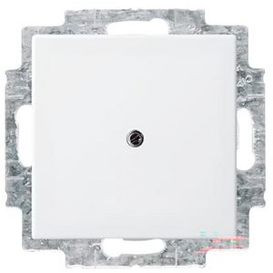 Centraalplaat blind met draagraam SI-B-alpin wit (2538-914)