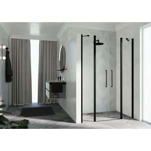 Nisdeur Y22A 1170-1210x2000mm zwart helder 2xdraaidelen