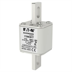Zekering h. snelheid 315A AC 690V 200kA compact 1 45x VVE=6