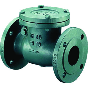 Terugslagklep PN16 DN50
