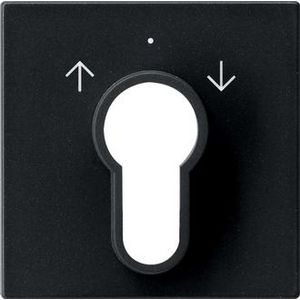 Afdekking sleutelschakelaar /-drukcontact System 55 zwart m