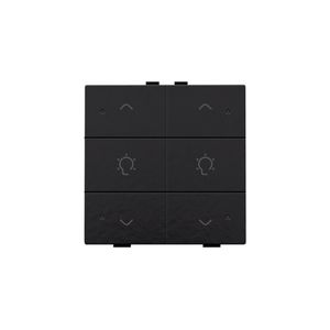 Dubbele dimbediening met led Home Control piano black